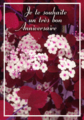 Anniversaire fleuri sous un ciel vibrant